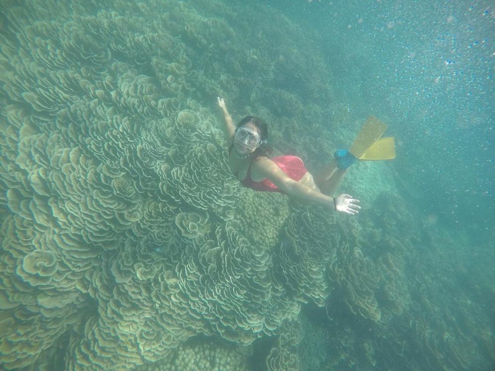Chuiba Bay lodge 奔巴岛 外观 照片